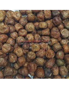 GALIAN COGASA GUISANTE TASMANIA GALIAN - 25 KG 25 KG - 2