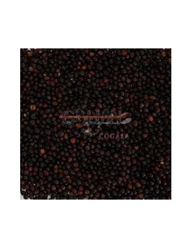 GALIAN COGASA NABINA ROJA GALIAN - 25 KG 25 KG - 2