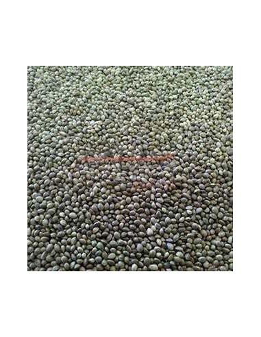 GALIAN COGASA CAÑAMON PEQUEÑO GALIAN 4 KG 20 KG 800 GR - 2