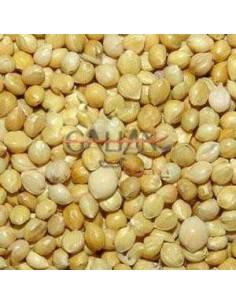 GALIAN COGASA PANISET / PANIZO AMARILLO GALIAN - 25 KG 25 KG - 2