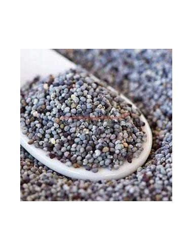 GALIAN COGASA ADORMIDERA AZUL GALIAN - 25 KG 25 KG - 2