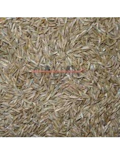 GALIAN COGASA GRASS PAJAROS GALIAN - 10 KG 10 KG - 2