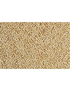 GALIAN COGASA QUINOA BLANCA GALIAN - 25 KG 25 KG - 2