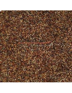 GALIAN COGASA SEMILLA DE TREBOL GALIAN - 25 KG 25 KG - 2