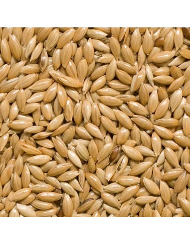 GALIAN COGASA ALPISTE GALIAN - 25 KG 25 KG - 2