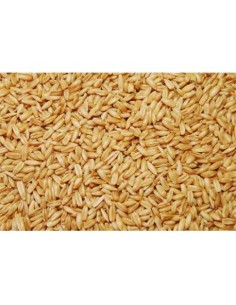 GALIAN COGASA AVENA PELADA GALIAN - 25 KG 25 KG - 2