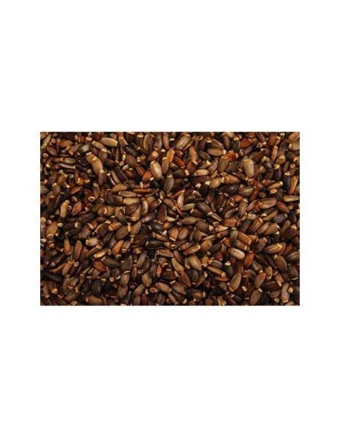 GALIAN COGASA CARDON MARIANO GALIAN - 25 KG 25 KG - 2