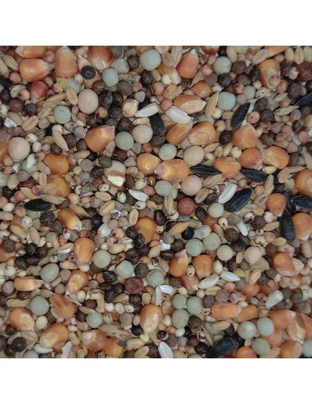 GALIAN COGASA MIXTURA ESPECIAL N.2 PALOMOS DEPORTIVOS GALIAN - 20 KG 20 KG - 2