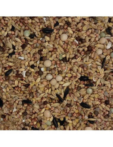 GALIAN COGASA MIXTURA N.1 PALOMOS DEPORTIVOS GALIAN - 20 KG 20 KG - 3