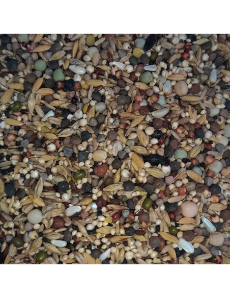 GALIAN COGASA MIXTURA MUDA ENERGETICA PALOMOS DEPORTIVOS - 20 KG 20 KG - 3