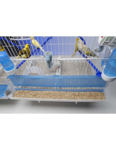 MOLDES AVE COMEDERO EL MURO  - 6