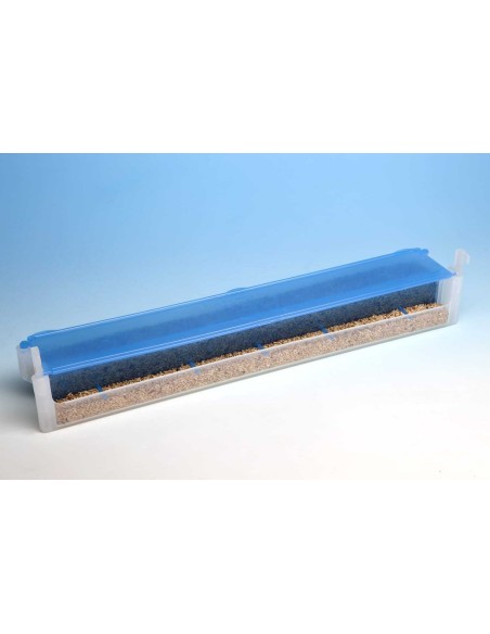 MOLDES AVE COMEDERO EL MURO  - 9