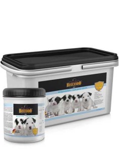 BELCANDO LECHE DE LACTANCIA - 500 GR - 2