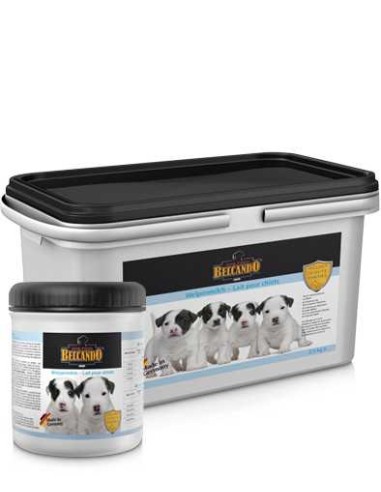 BELCANDO LECHE DE LACTANCIA - 500 GR - 2