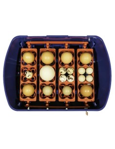 COPELE INCUBADORA REAL AUTOMÁTICA  - 2