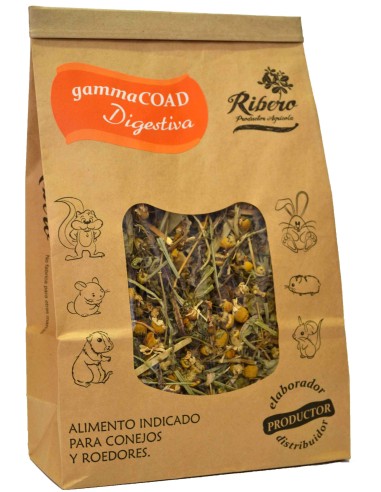 RIBERO GAMMA COAD DIGESTIVA - 100 GR