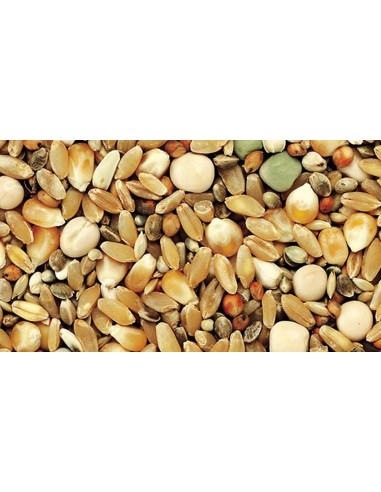 KIKI MIXTURA PARA PERDICES SIN VEZAS - 3