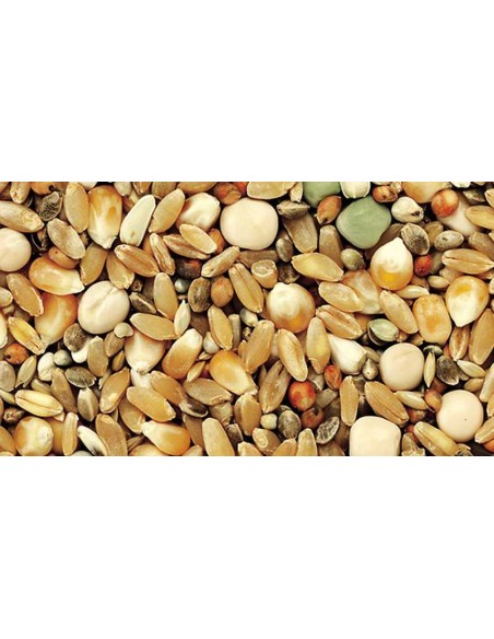 KIKI MIXTURA PARA PERDICES SIN VEZAS - 3