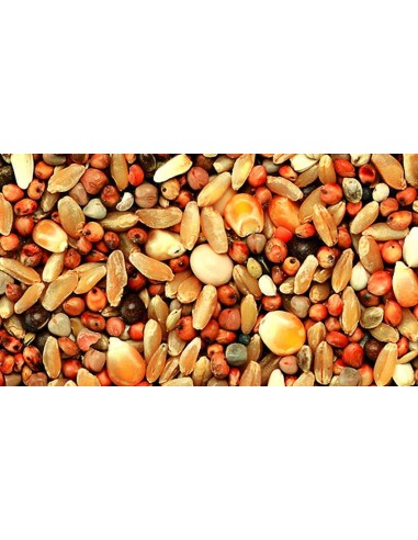 KIKI MIXTURA PARA PERDICES ECO - 3