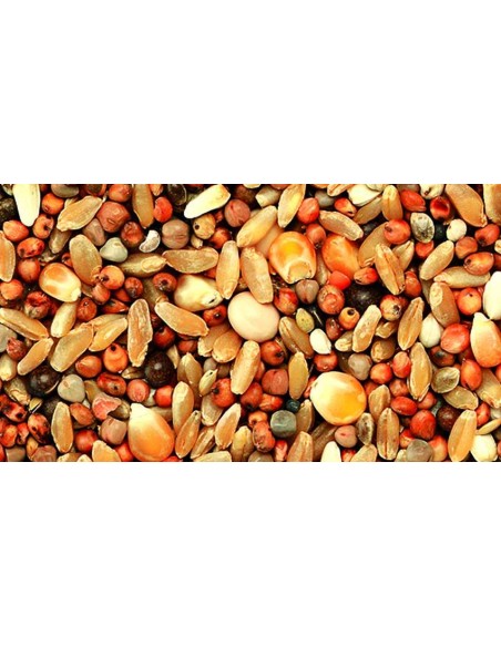 KIKI MIXTURA PARA PERDICES ECO - 3