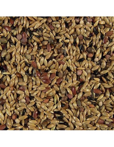 KIKI PRO CANARIOS EURO SIN NABINA 5 KG - 3