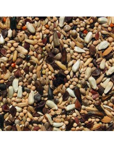 KIKI PRO AGAPORNIS Y PEQUEÑAS PSITACIDAS CRIA - 20 KG 20 KG - 2 2