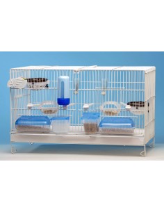 MOLDES AVE COMEDERO DOBLE TAPA AZUL  2