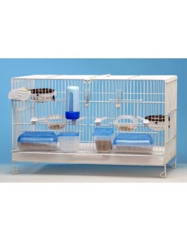 MOLDES AVE COMEDERO INDIVIDUAL PESTAÑA TAPA AZUL  - 2