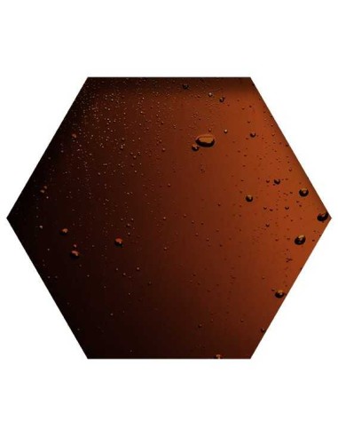 BEYERS HERBA ZYMA - 1 LITRO - 2