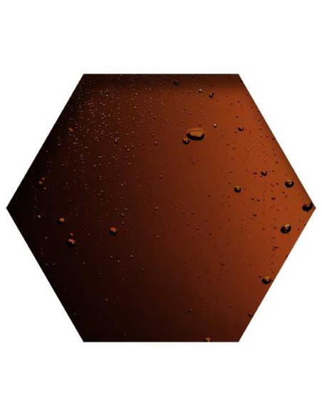 BEYERS HERBA ZYMA - 1 LITRO - 2