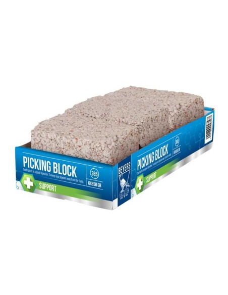 BEYERS PICKING BLOCK - 650 GR - 4
