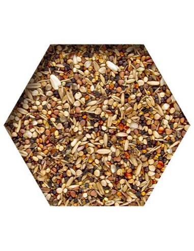 BEYERS MOULTING SUPPORT - SOPORTE DE MUDA - 2 KG - 2