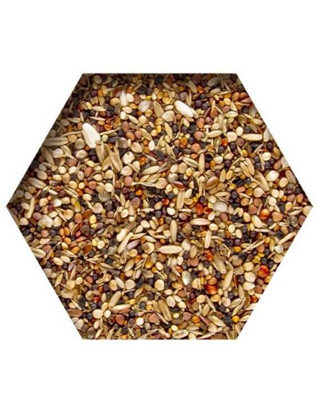 BEYERS MOULTING SUPPORT - SOPORTE DE MUDA - 2 KG - 2