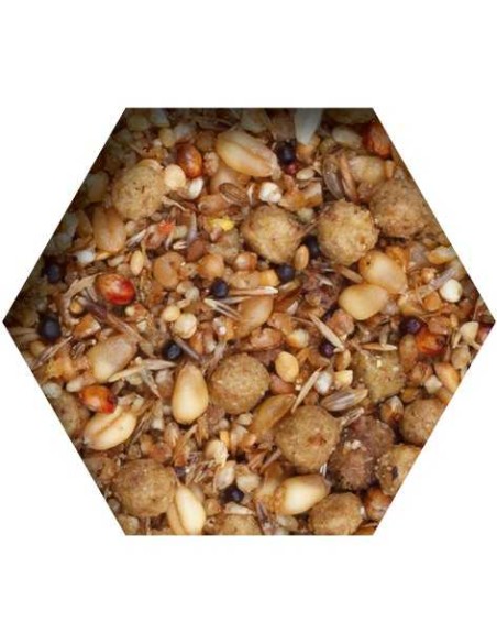 BEYERS TOVO - ALIMENTO CONDICIÓN Y CRÍA - 4