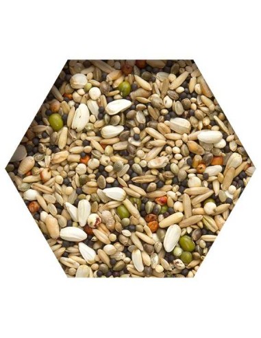 BEYERS TRAPPING MIX MIXTURA PARA CAPTURAS - 2,5 KG - 3