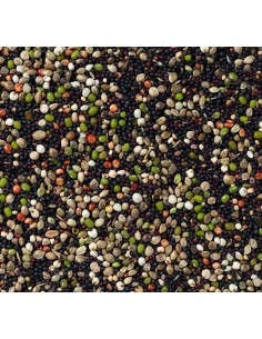 DELI NATURE Nº 80 GERMINADO CANARIOS - 20 KG 20 KG - 2 2