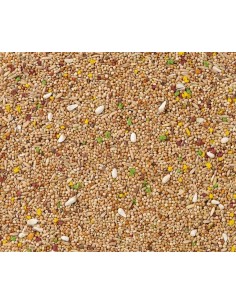 DELI NATURE Nº 11 PERIQUITOS COLORMIX - 20 KG 20 KG - 2 2