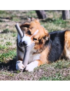 COPELE FILTRO DE ACERO INOXIDABLE Ø 10 X 10 CM - 2