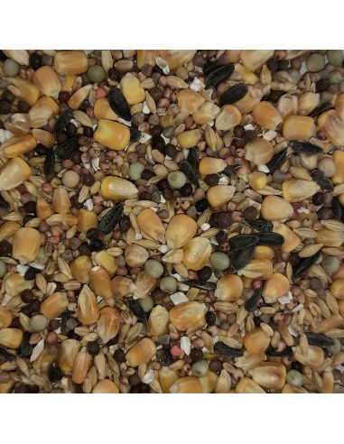 GALIAN COGASA MIXTURA MANTENIMIENTO N. 2 PALOMOS DEPORTIVOS - 20 KG 20 KG - 3