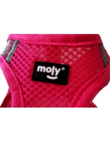 MOLY ARNÉS COQUITO TRANSPIRABLE  - 3