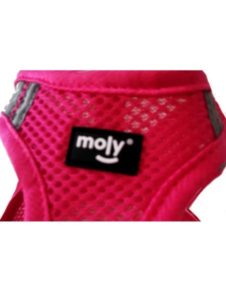 MOLY ARNÉS COQUITO TRANSPIRABLE  - 3