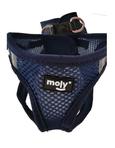 MOLY ARNÉS COQUITO TRANSPIRABLE  - 4