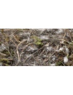 SISAL FIBRE ANIMAL - VEGETAL - MUSGO 100 GR 500 GR - 2