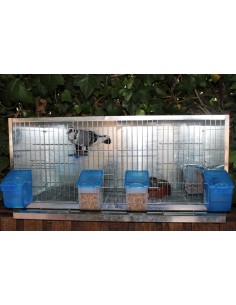 MOLDES AVE COMEDERO EL ABUELO - 500 GR - 2 2