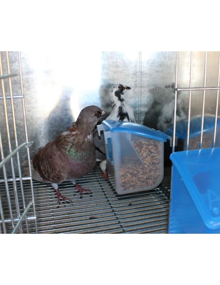 MOLDES AVE COMEDERO EL ABUELO - 500 GR - 6