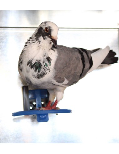 MOLDES AVE POSADERA CON SOPORTE  - 2