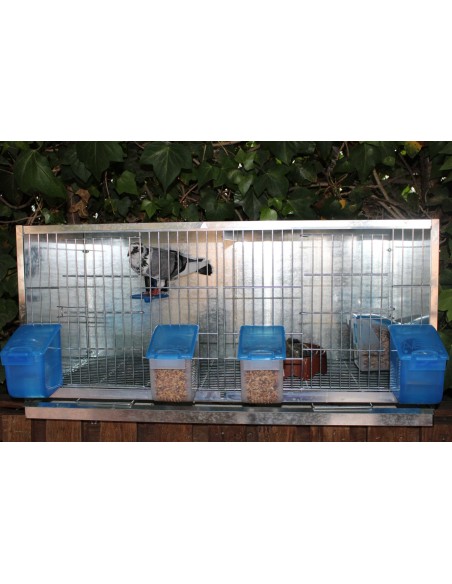 MOLDES AVE POSADERA CON SOPORTE  - 5