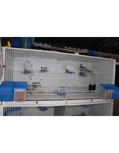 MOLDES AVE POSADERA CON SOPORTE  - 6