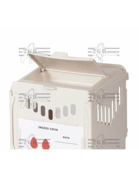 2G-R NIDO EXTERNO SAMSARA VERDE 12 5 X 19 5 X 16 5 CM - 4