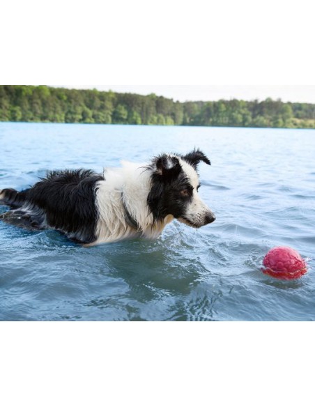 WEST PAY WEST PAW ZOGOFLEX AIR BOZ PELOTA PARA PERROS AMARILLO AMARILLO FUCSIA FUCSIA 10 CM 10 CM 10 CM 6 CM 6 CM AGUAMARI - 2